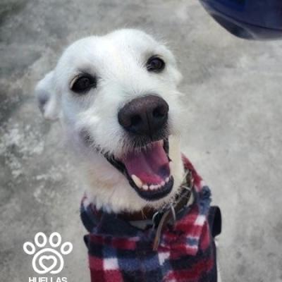 Bobby