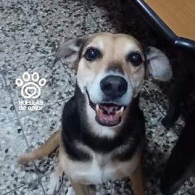 Linda Maria Chispa