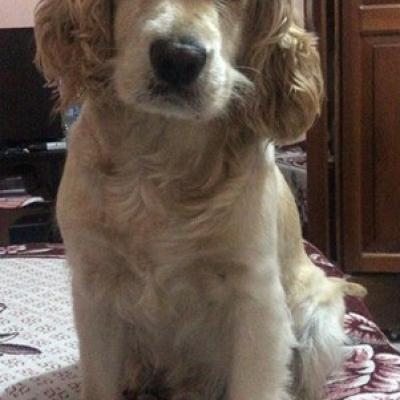 Max