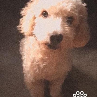 Tobby