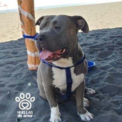 Zeus Barahona